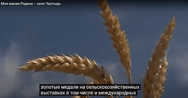 Донские кадеты лучше всех рассказали историю своего Отечества