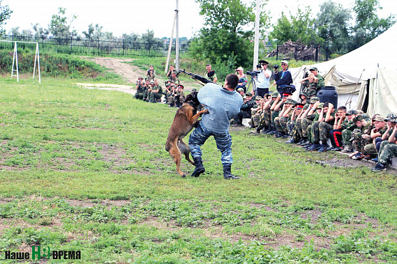 Не псы войны, а герои!