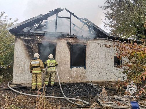 Пожилая жительница Мартыновского района погибла в пожаре