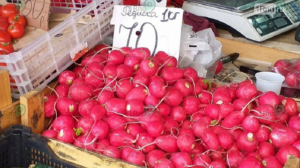 Ростовские торговцы редисом меняют ценники. Источник фото: портал 1rnd.ru.