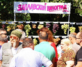 1вин