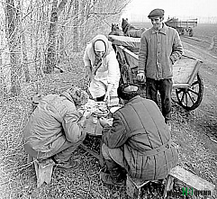 Мы пишем историю страны