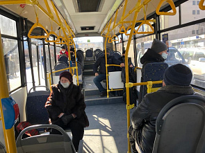 За месяц пассажиропоток общественного транспорта Ростова вырос почти на 20%