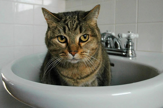 В среду отключат воду в начале улицы Портовой и в конце проспекта Шолохова