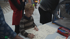 Как кошки-крошки год Собаки встречали