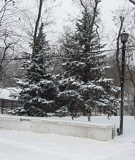 Зима в Ростове