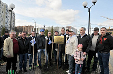 Клены, липы, туи...	