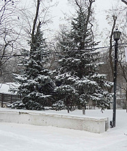 Зима в Ростове