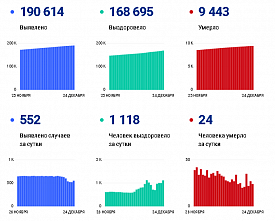 Коронавирус в Ростовской области: статистика на 24 декабря