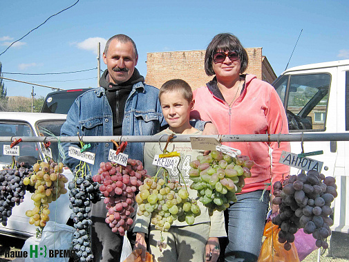 Семья Осипенко из города Шахты занимается выращиванием винограда более 20 лет.