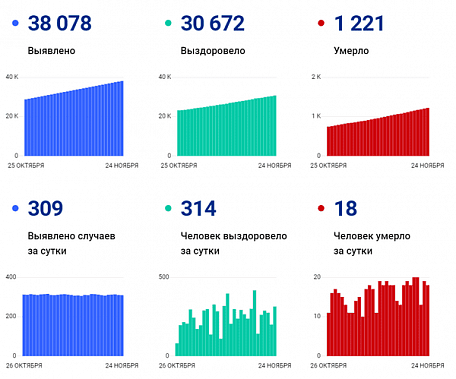 Коронавирус в Ростовской области: статистика на 24 ноября