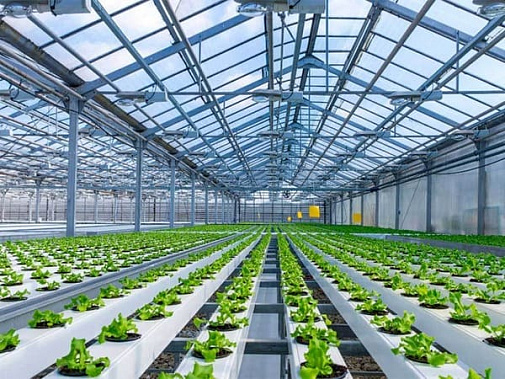 фото сайта fertilizerdaily.ru