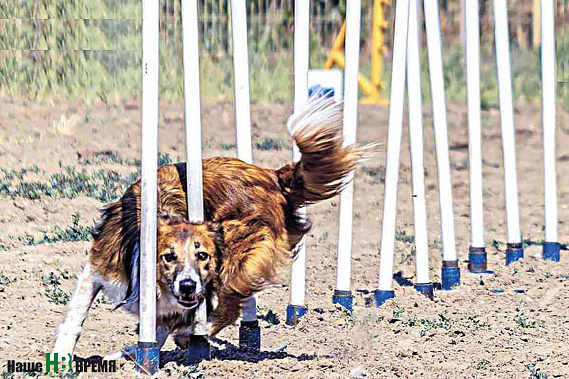 Куда спешила Фрези Грант