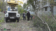 Под звуки пил и топоров