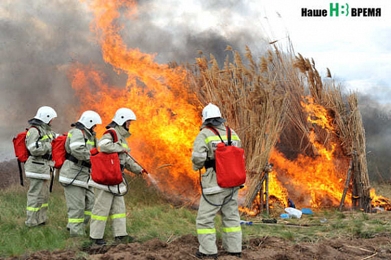 В Ростовской области с начала уборочных работ произошли 17 пожаров на полях