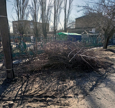 Последствия стихии в ﻿Цимлянске и Цимлянском районе