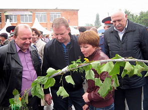 Щедрая осень в Пухляковском