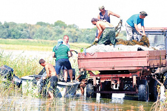В бой идут волонтеры_17811