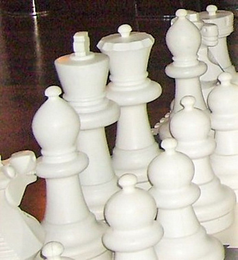 Донская команда блеснула на подмосковном шахматном блиц-турнире