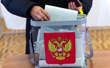Выборы-2019: появились первые данные об активности избирателей