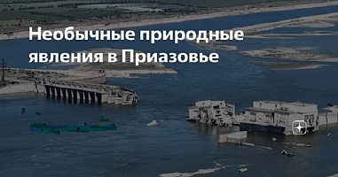 Подрыв Киевом плотины Каховской ГЭС привел к природным аномалиям в Приазовье