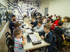 В Ростове в шахматы играли даже «ежи» и «бешеные слоны»
