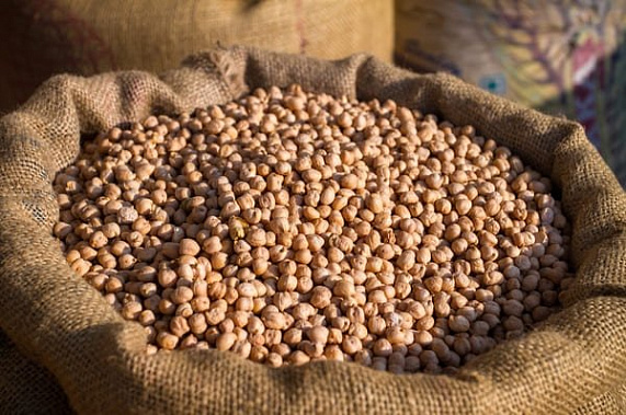 Фото сайта agrochiminvest.com