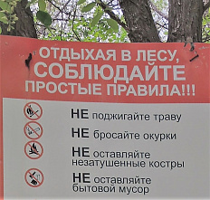 На территории Каменского лесничества сегодня случился лесной пожар