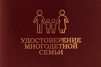 На Дону готовятся к выдаче удостоверений многодетным семьям
