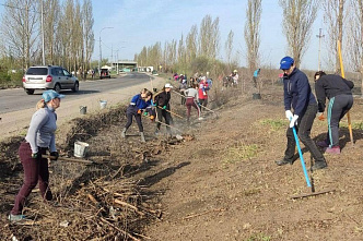 В течение предстоящих пяти недель на Дону пройдет месячник чистоты
