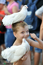 Как не поладили османы с гяурами