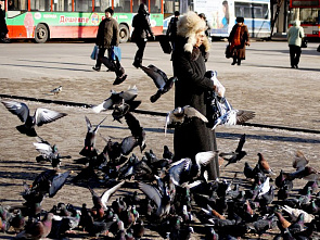 Горячая еда для бездомных_9494