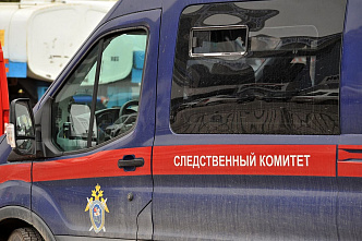 Батайчанку осудили на 2 года за непреднамеренное убийство новорожденного ребенка