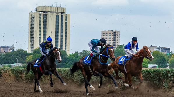 Источник фото: скриншот сюжета tsargrad.tv