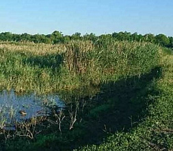 Поселениям пропасть не дадут