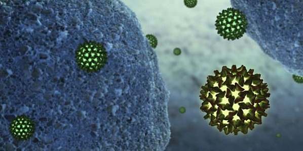 Вакцина в таблетках спасет от гепатита В