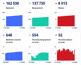 Коронавирус в Ростовской области: статистика на 10 ноября