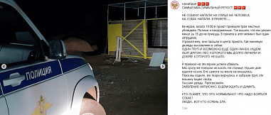 Убийцей собаки в приюте оказался сотрудник МЧС