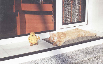 Погуляем, поснимаем – 17