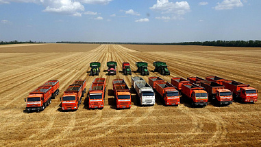 Парад Победы прошел в колхозе имени Шаумяна в Мясниковском районе