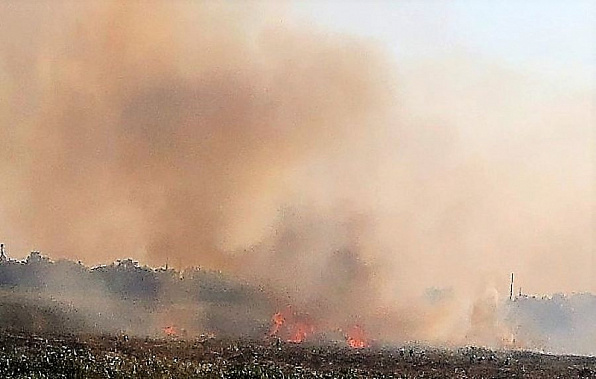 Пожары в донском регионе унесли жизни четырех человек