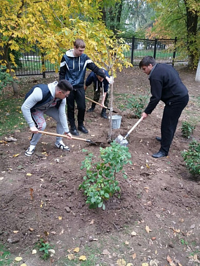 Жители донского края могут посадить свой «Сад памяти»