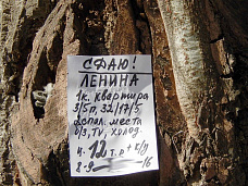 Проходя мимо