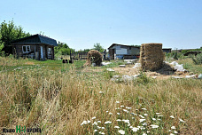 Собрать судьбу из осколков