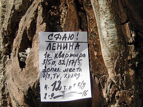 Проходя мимо