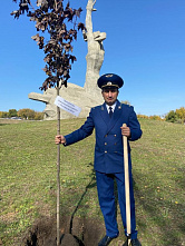 В Ростове заложили прокурорскую «Аллею Славы и воинской доблести»