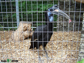 Даже змеи – в молодежном формате