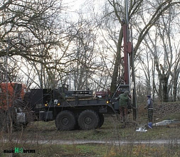 Тысячи деревьев в Кумженской роще вырубать не обязательно