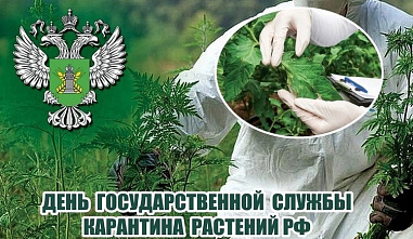 Сегодня отмечается день создания Государственной службы карантина растений