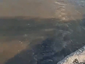 В Железнодорожном районе Ростова сточные воды попадают в Дон
